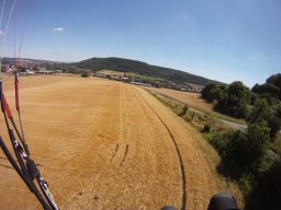 berka_und_muni_15_20170129_1623863053