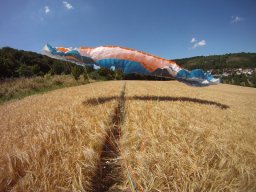 berka_und_muni_16_20170129_2040351243