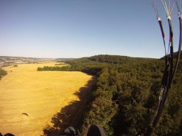 berka_und_muni_20_20170129_1690710014