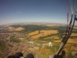 berka_und_muni_3_20170129_1578429694