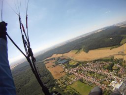 muni_11_20170129_1145757534