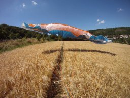 muni_16_20170129_1490424586