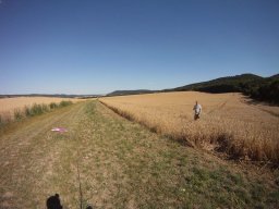 muni_17_20170129_1340747027