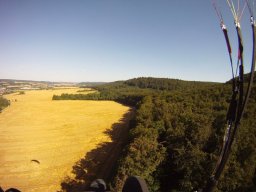 muni_20_20170129_1928495828