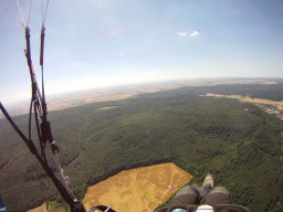 muni_7_20170129_1230955797