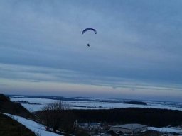 peter_10_20170205_2041563560