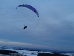 peter_11_20170205_1549752320