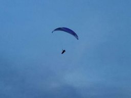 peter_12_20170205_1494438991