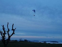 peter_13_20170205_1042589396