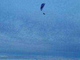 peter_14_20170205_1762008899