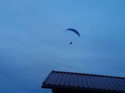 peter_15_20170205_1723751716