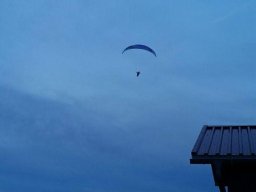 peter_16_20170205_1598053074