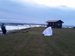 peter_2_20170205_1792458164